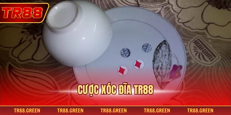 Cược Xóc Đĩa TR88 – Nơi Cơ Hội Vàng Mở Ra Mỗi Ngày