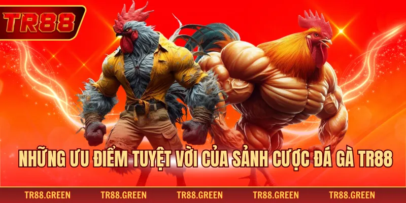 Những ưu điểm tuyệt vời của sảnh cược đá gà TR88